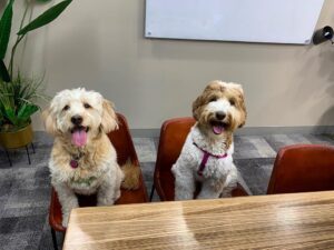 89229584 993313744403131 6688028201798598656 o