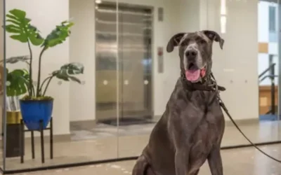 Screen-Shot-2022-12-20-at-9.51.34-PM